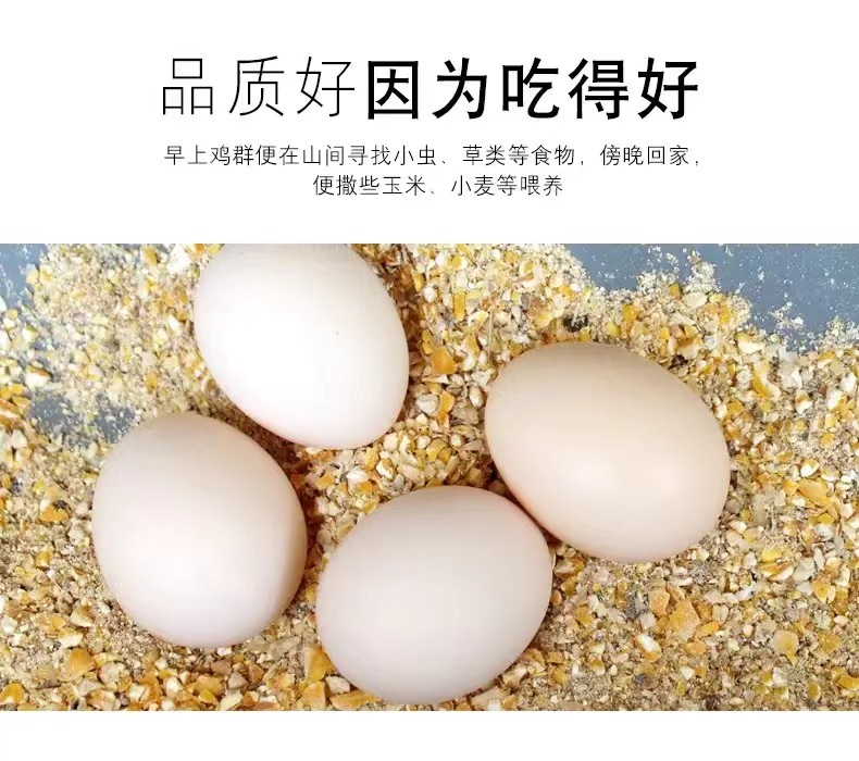 來自生態(tài)農(nóng)場(chǎng)山林散養(yǎng)的溜達(dá)雞原生態(tài)雞蛋批發(fā)