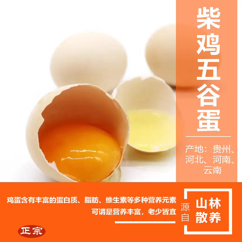 自家山林散養(yǎng)柴雞五谷蛋，小時(shí)候的味道